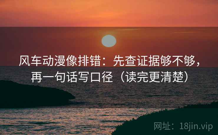 风车动漫像排错：先查证据够不够，再一句话写口径（读完更清楚）